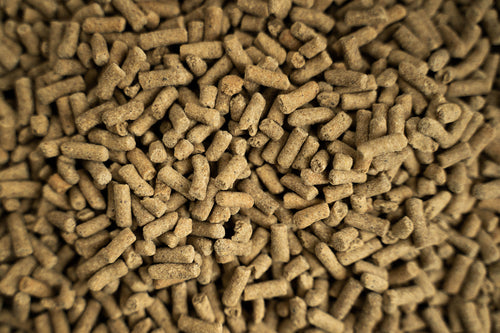 BUCKEYE™ Nutrition ULTIMATE RECOVERY™