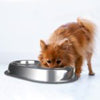 Van Ness Heavyweight Small Stainless Steel Double Dish