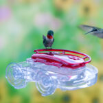 Aspects Gem Hummingbird Window Feeder