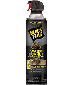 Black Flag Wasp, Hornet & Yellow Jacket Killer2 (Aerosol)