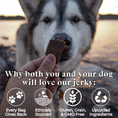 Otis Wild Things Salmon Recipe Jerky For Dogs