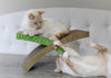 Petstages Easy Life Hammock Cat Scratcher