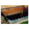 Window Well Egress Cover, Low Profile, Heavy Duty, 60 x 38 x 4-In.