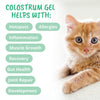 Under the Weather Pet 3-in-1 Vital Colostrum Gel for Cats