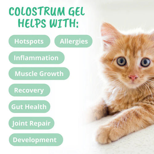 Under the Weather Pet 3-in-1 Vital Colostrum Gel for Cats
