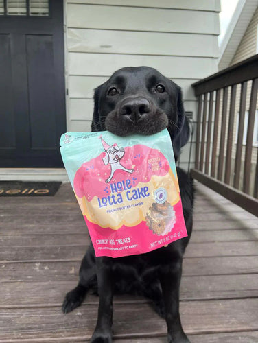 Shameless Pets Hole Lotta Cake Crunchy Dog Treats
