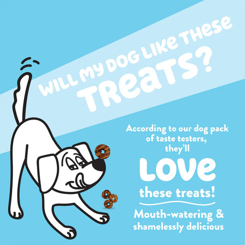 Shameless Pets Hole Lotta Cake Crunchy Dog Treats