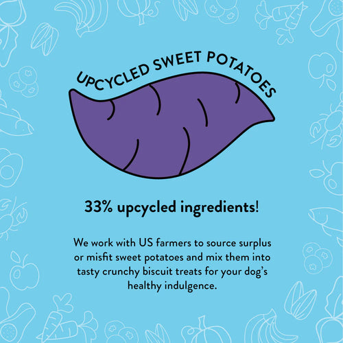 Shameless Pets Hole Lotta Cake Crunchy Dog Treats