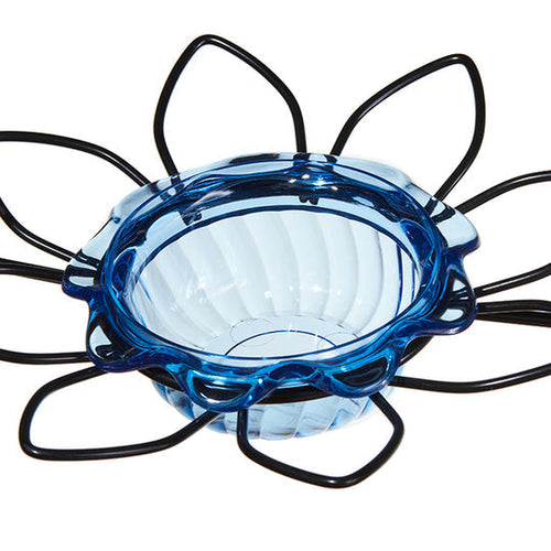 Birds Choice Bluebird Feeder Flower Shape for Mealworms and Dried Fruit