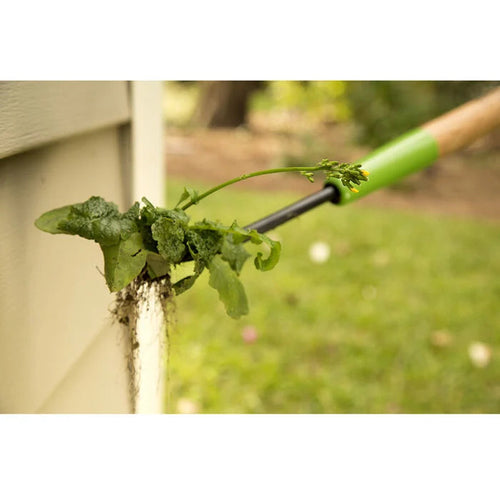 Ames Forged Dandelion Weeder - Thumbnail 4