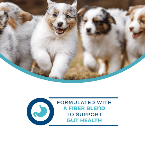 Fromm Digestive Supplement Pâté Wet Dog Food