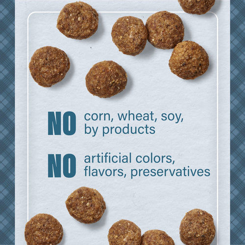 Nutrena® Loyall Life® Advanced Solutions Sensitive Skin & Coat Salmon & Oatmeal Recipe Adult Dog Food