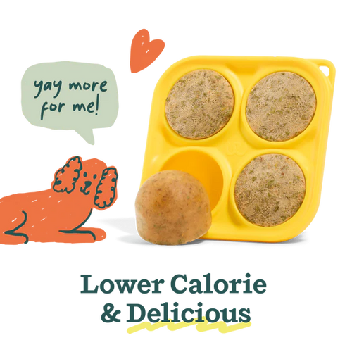 Woof Bacon & Cheese Pupsicle Mix