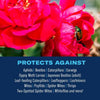 BIOADVANCED All-In-One Rose & Flower Spray Concentrate