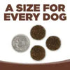NutriSource® Large Breed Beef Meal & Barley Recipe Healthy Affordable Dry Dog Food