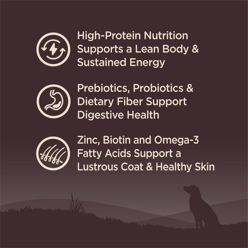 Wellness CORE Grain Free Natural Small Breed Health Turkey and Chicken Recipe Dry Dog Food