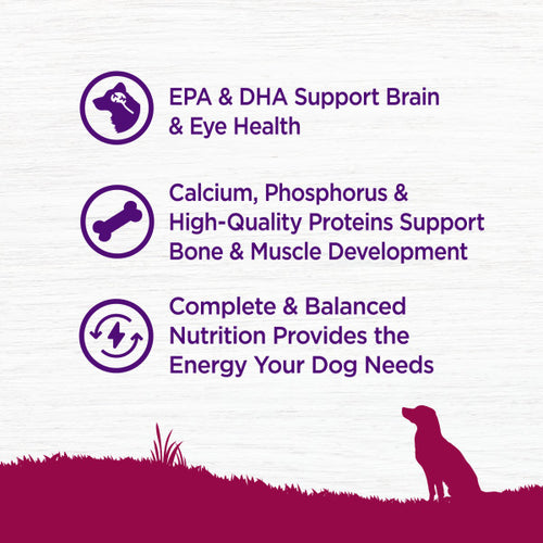 Wellness Complete Health Natural Small Breed Puppy Healthy Weight Turkey, Oatmeal and Salmon Meal Recipe Dry Dog Food