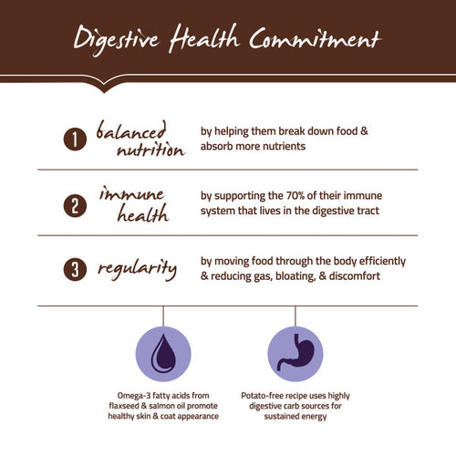 Holistic Select Natural Adult Health Chicken Meal and Brown Rice Recipe Dry Dog Food