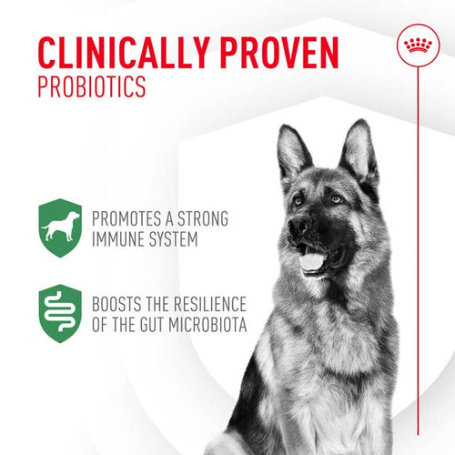 Royal Canin Probiotics for Dogs Digestive and Immune Health Powder Supplement