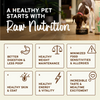 Primal Frozen Raw Scoopable Pronto Dog Food Puppy Recipe