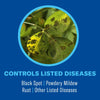 BioAdvanced 3-in-1 Insect, Disease, & Plant Mite Control