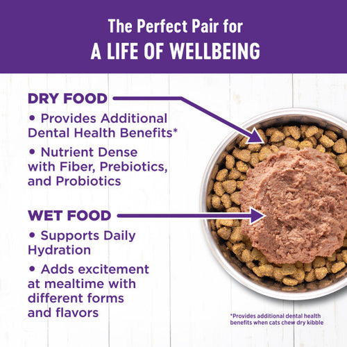 Wellness Complete Health Natural Indoor Adult Grain Free Salmon and Herring Dry Cat Food