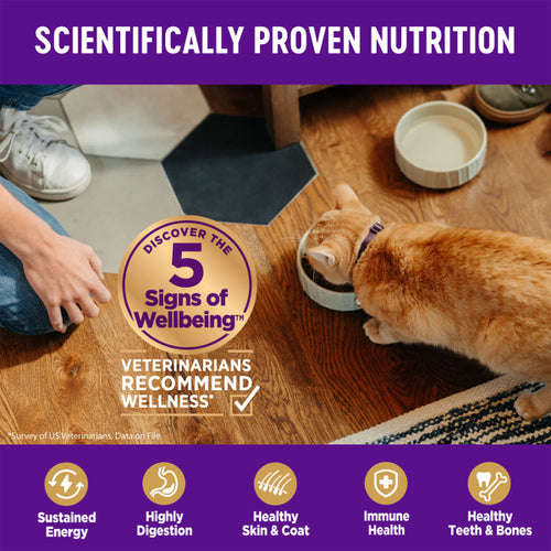 Wellness Complete Health Natural Indoor Adult Grain Free Salmon and Herring Dry Cat Food