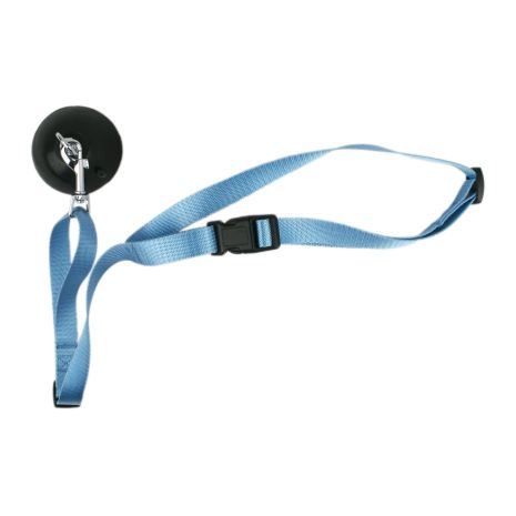 Tall Tails Dog Bath Leash with Suction Cup