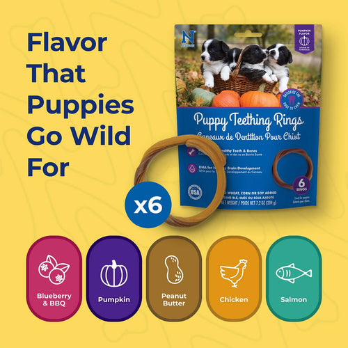 N-Bone Puppy Teething Rings Taste of Texas Burnt Ends Flavor