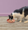 Ethical Pet Spot Portofino Dish Oval Cat Pink