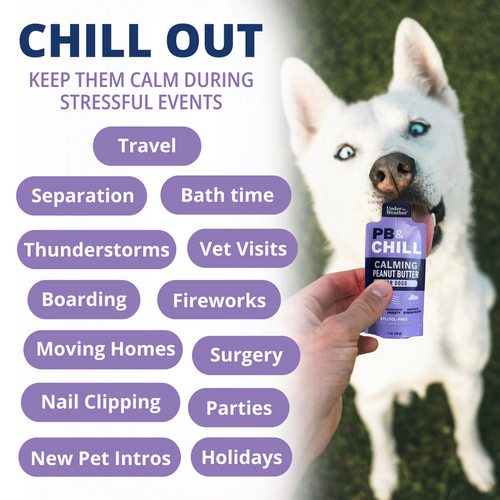 Under the Weather Pet PB&CHILL® Calming Peanut Butter For Dogs - 6 Packets