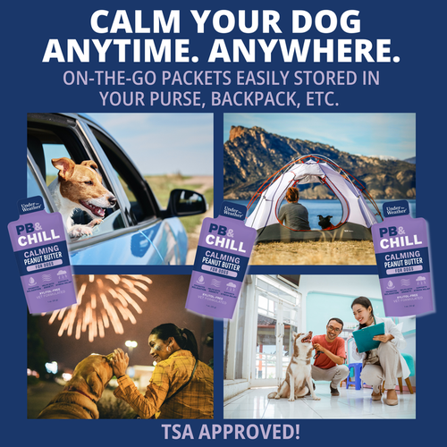 Under the Weather Pet PB&CHILL® Calming Peanut Butter For Dogs - 6 Packets