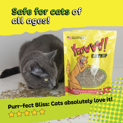 Yeowww! Catnip Pouch