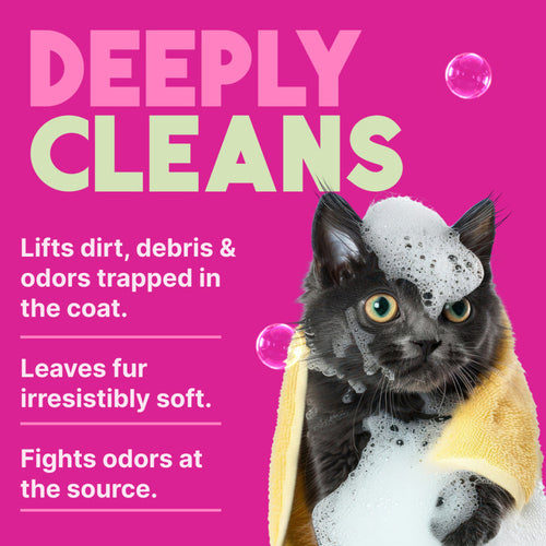 TropiClean Berry & Coconut Deep Cleansing Shampoo for Cats & Kittens, 12oz