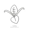 Botanical Interests Bloomsdale Spinach Seeds