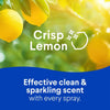 Clorox™ Disinfecting All Purpose Cleaner Spray