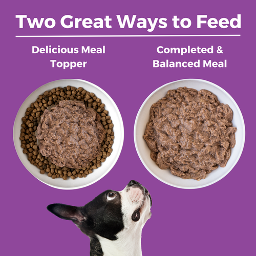 Koha Limited Ingredient Diet Kangaroo Entrée for Dogs