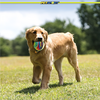 Petsport 70355 Tie Dye Squeak Ball 4 1-Pack Dog Toys