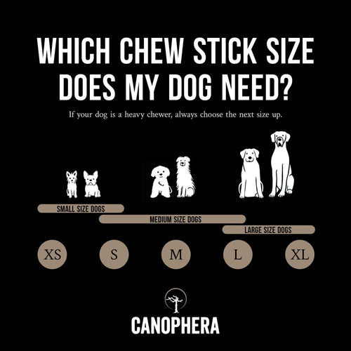 Canophera Sheep Horn Chews for Dogs