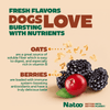 Natoo Crunchy Biscuits Oats And Berries Flavor Dog Treats