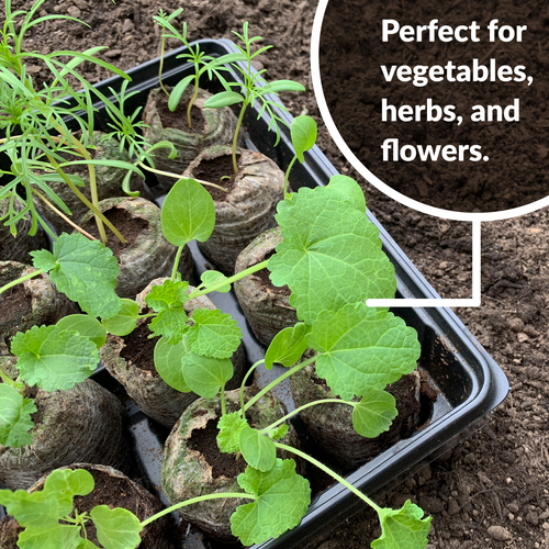 Jiffy Seed Starting Kit, 72 Cell 36mm Peat Pellets