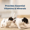 Pet-Ag PetLac™ Liquid for Puppies