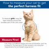 Coastal Adjustable Cat Wrap Harness with 6' Leash