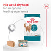 Royal Canin Aging 11+ Loaf in Sauce Wet Cat Food