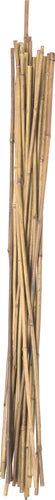 Panacea 3' Natural Bamboo Stakes, 24 Pack