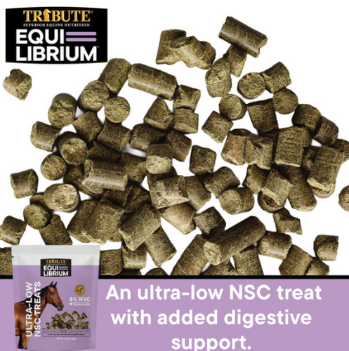 Tribute Equi-Librium™ Treats for Horse