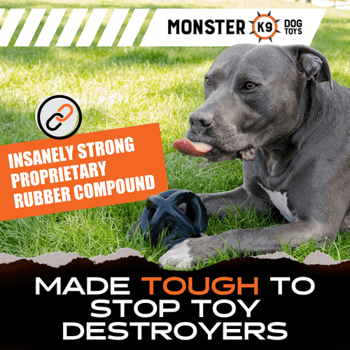 Monster K9 Ring Ball Dog Toys