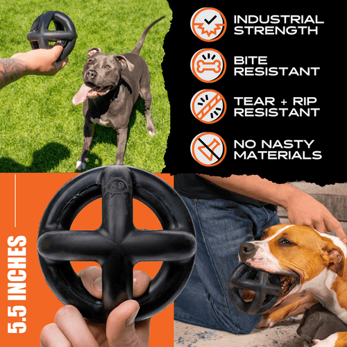 Monster K9 Ring Ball Dog Toys