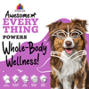 Weruva Awesome Everything Super Beef Bone Broth