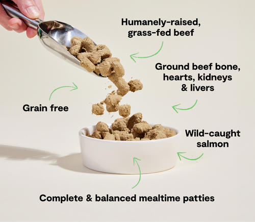 Open Farm Surf & Turf Freeze Dried Raw Patties for Dogs